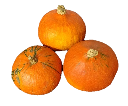Hokkaidokürbis
