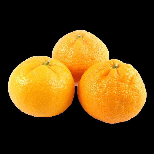 Satsuma
